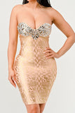 Women Gilded Glamour Silver Strapless Sweetheart Neckline Dress Zarnesh