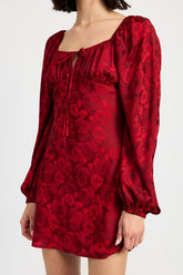 Women Long Sleeve Fully Lined Slight Stretch Lace Mini Dress Zarnesh