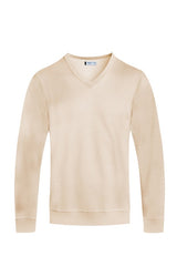  Men's Solid V-Neck Sweater | Zarnesh
