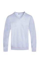  Men's Solid V-Neck Sweater | Zarnesh
