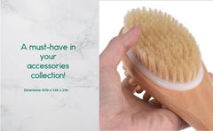 Revitalize Your Routine with Bath/Body Massage Brush | Zarnesh