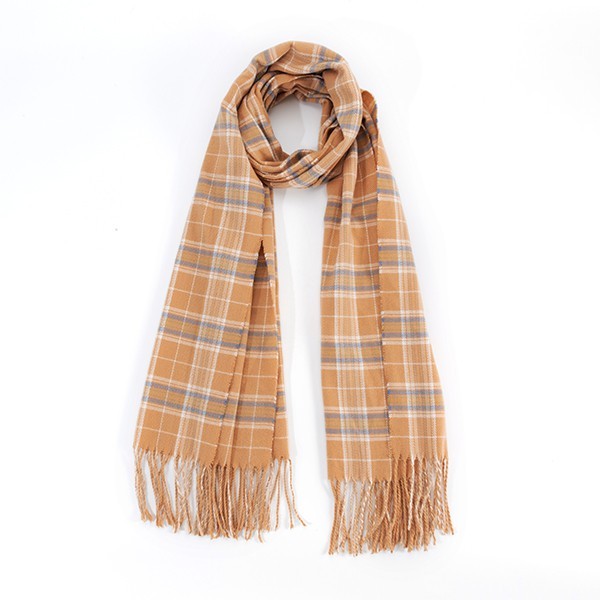 Women Striped Plaid Fringed Scarf | Zarnesh