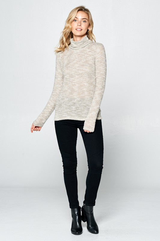 Women Long Sleeve Knit Turtleneck Top | Zarnesh