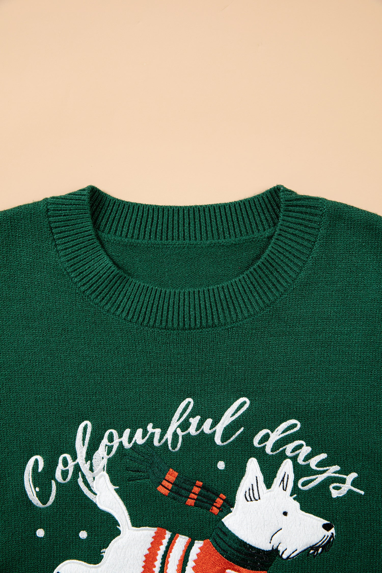 Close-up of dark green sweater with white dog, striped scarf, and “Colourful days” text.