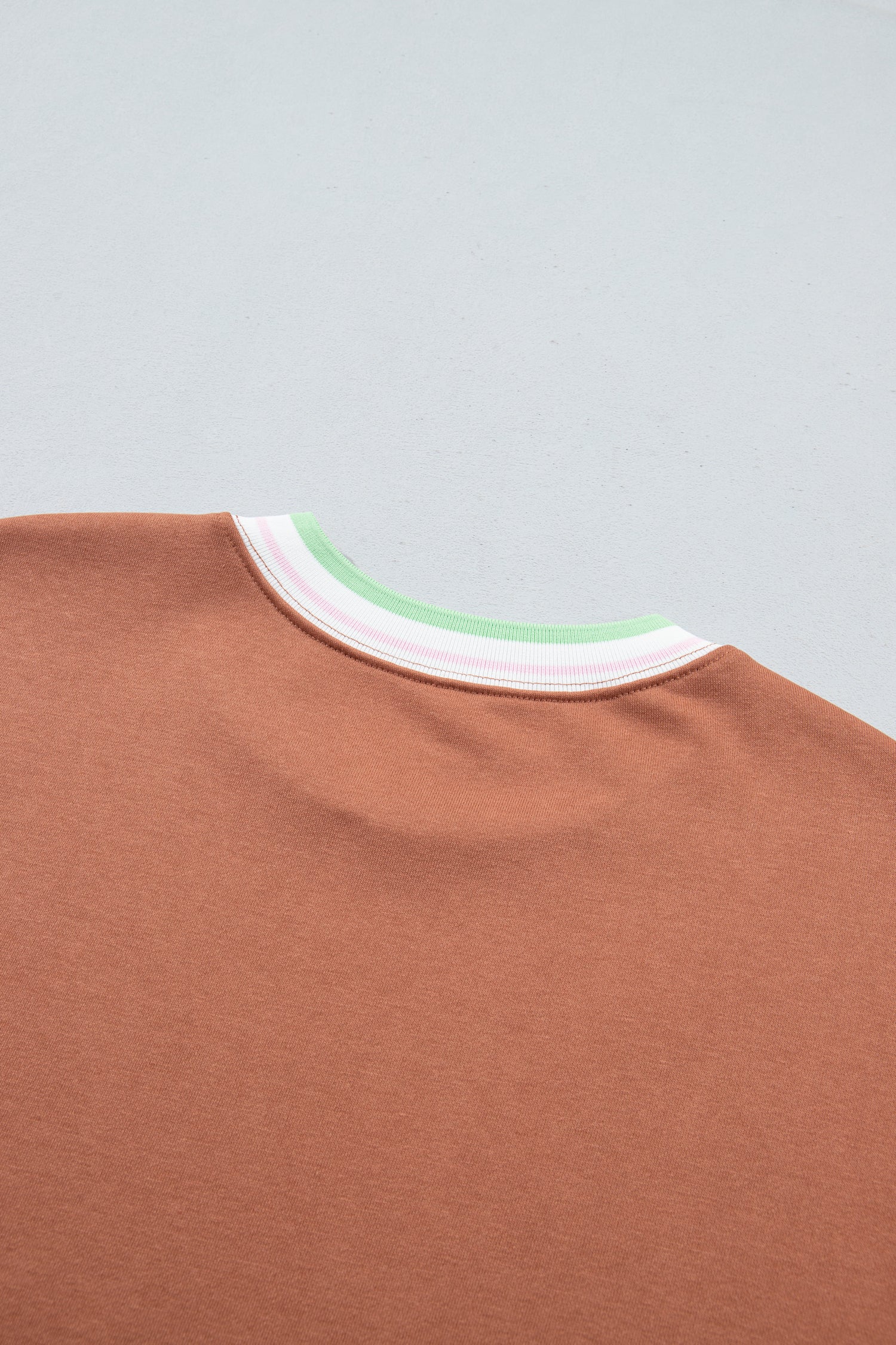 Close-up of a terracotta brown crewneck t-shirt featuring a striped collar with white, light pink
