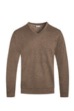 Mens Solid V-Neck Sweater | Zarnesh