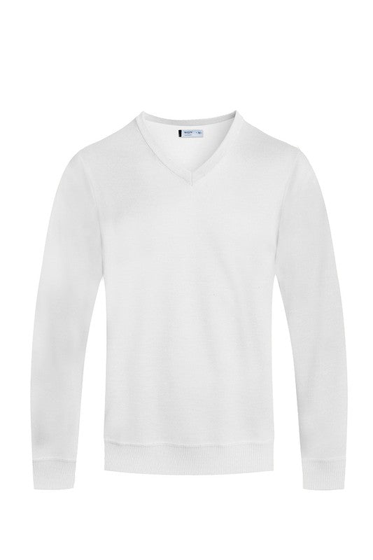 Men's Solid V-Neck Sweater | Zarnesh