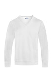 Men's Solid V-Neck Sweater | Zarnesh