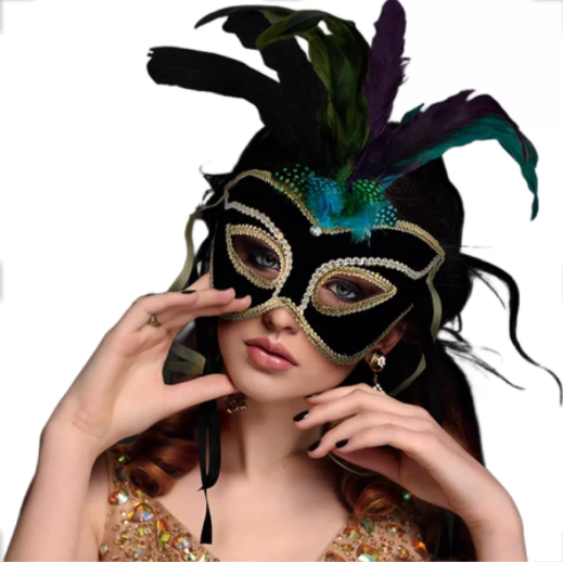 Velvet And Feather Unlit Carnival Mask | Zarnesh