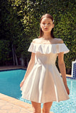 Women Off Shoulder A Line Loose Fit Back Zipper Ruffle Dress Zarnesh