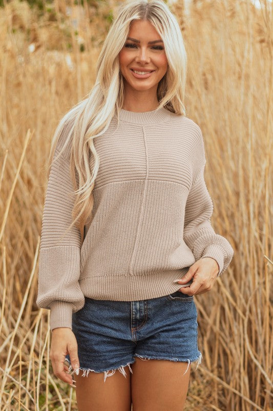 Women’s Delaney Pullover Textured Puff Sleeve Sweater | Zarnesh