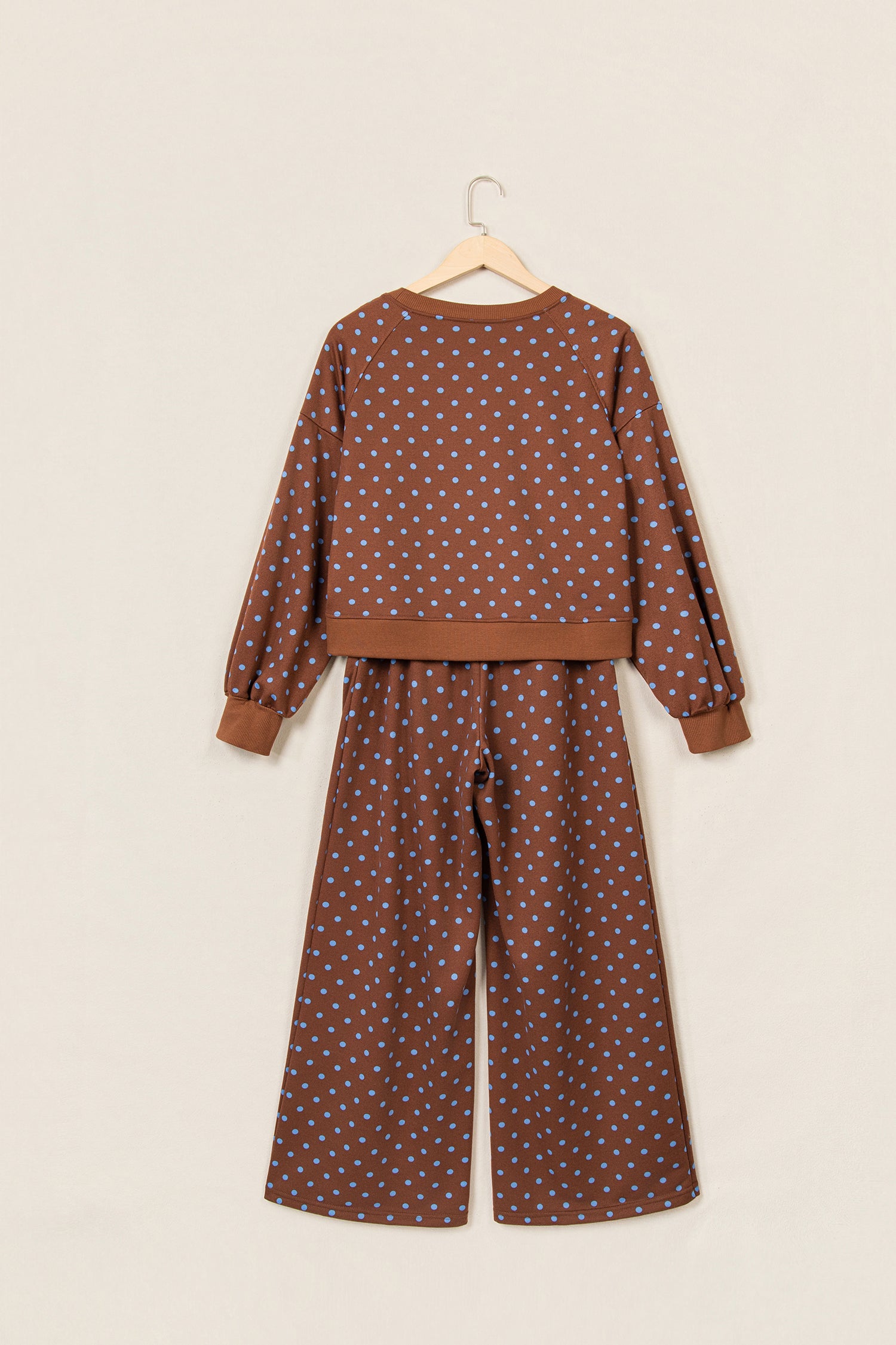 Brown polka dot top and wide leg pant set on a hanger, back view