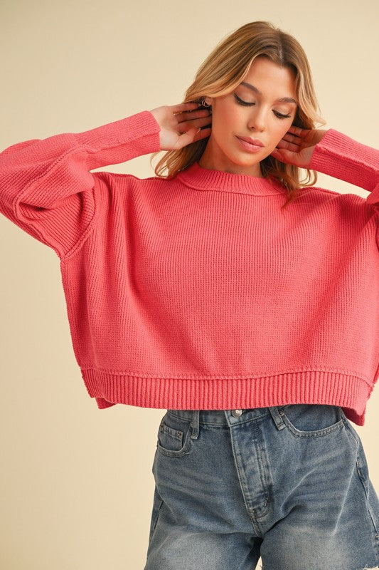 Women Slightly Cropped Waist Long Sleeves Round Regina Sweater Zarnesh