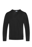 Mens Solid V-Neck Sweater | Zarnesh