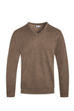 Mens Solid V-Neck Sweater | Zarnesh