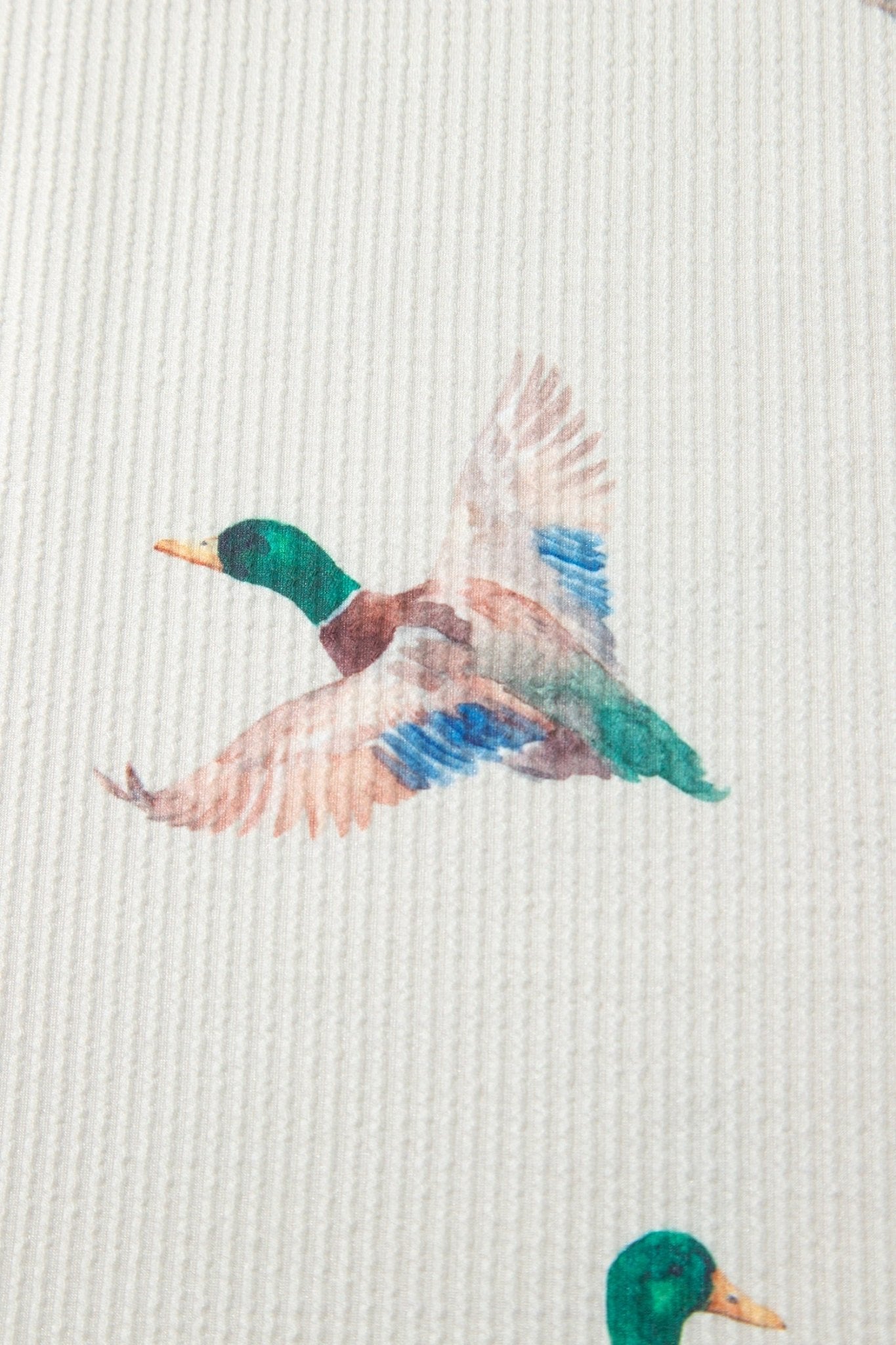 Plus Size Mallard Duck Ribbed Sweatshirt | Zarnesh