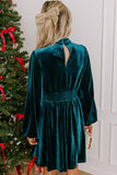 Back view of teal velvet mini dress with button keyhole and smocked waist