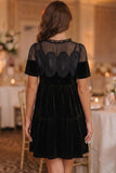 Velvet Sheer Mesh Lace Yoke Mini Dress | Zarnesh - ZarneshDresses/Mini Dresses