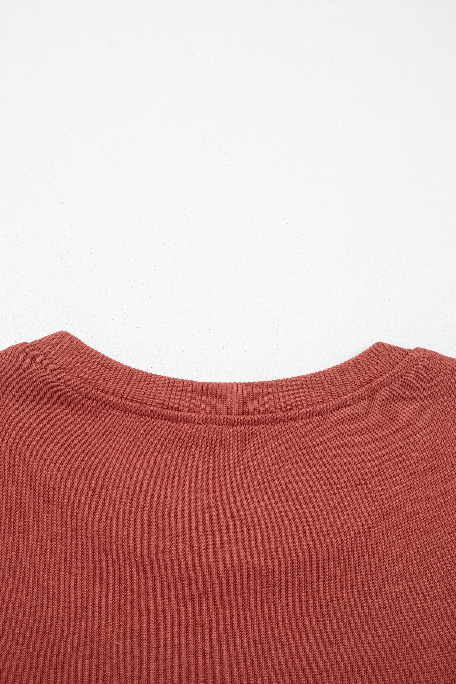 Mineral red sweatshirt ribbed crewneck, back view