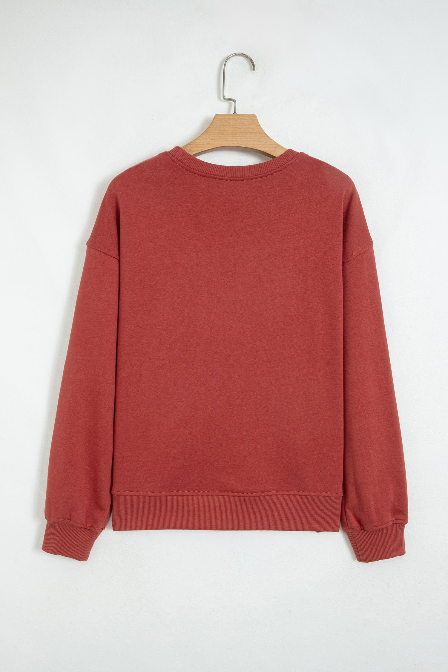 Mineral red crewneck sweatshirt on a hanger, back view